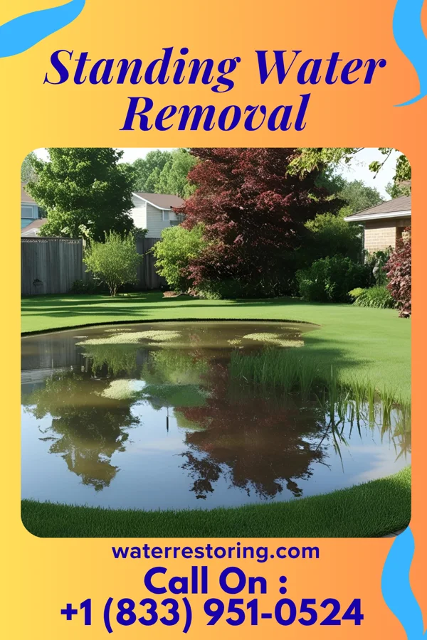 Standing Water Removal in Columbia, LA